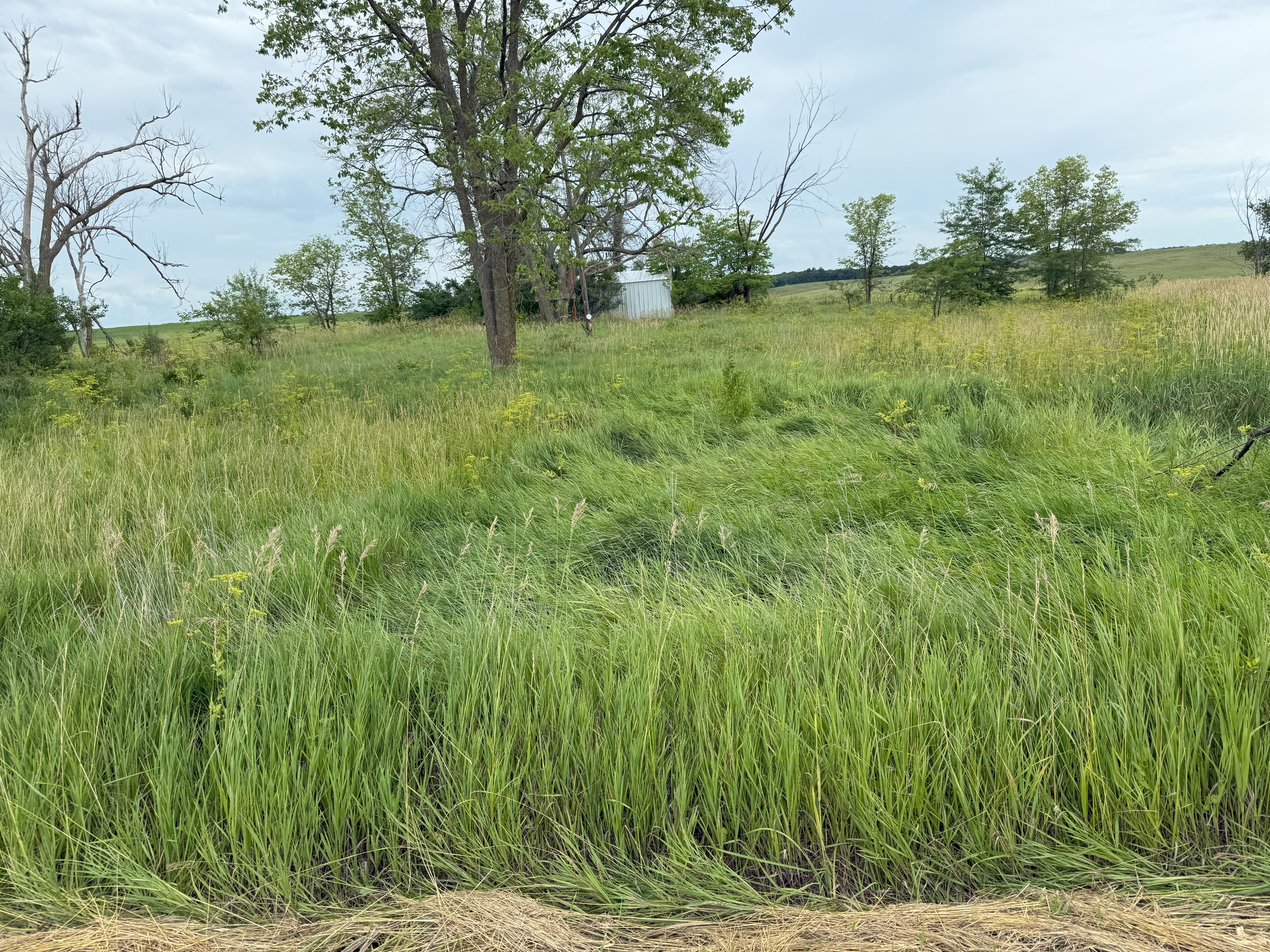 Lawn care work example