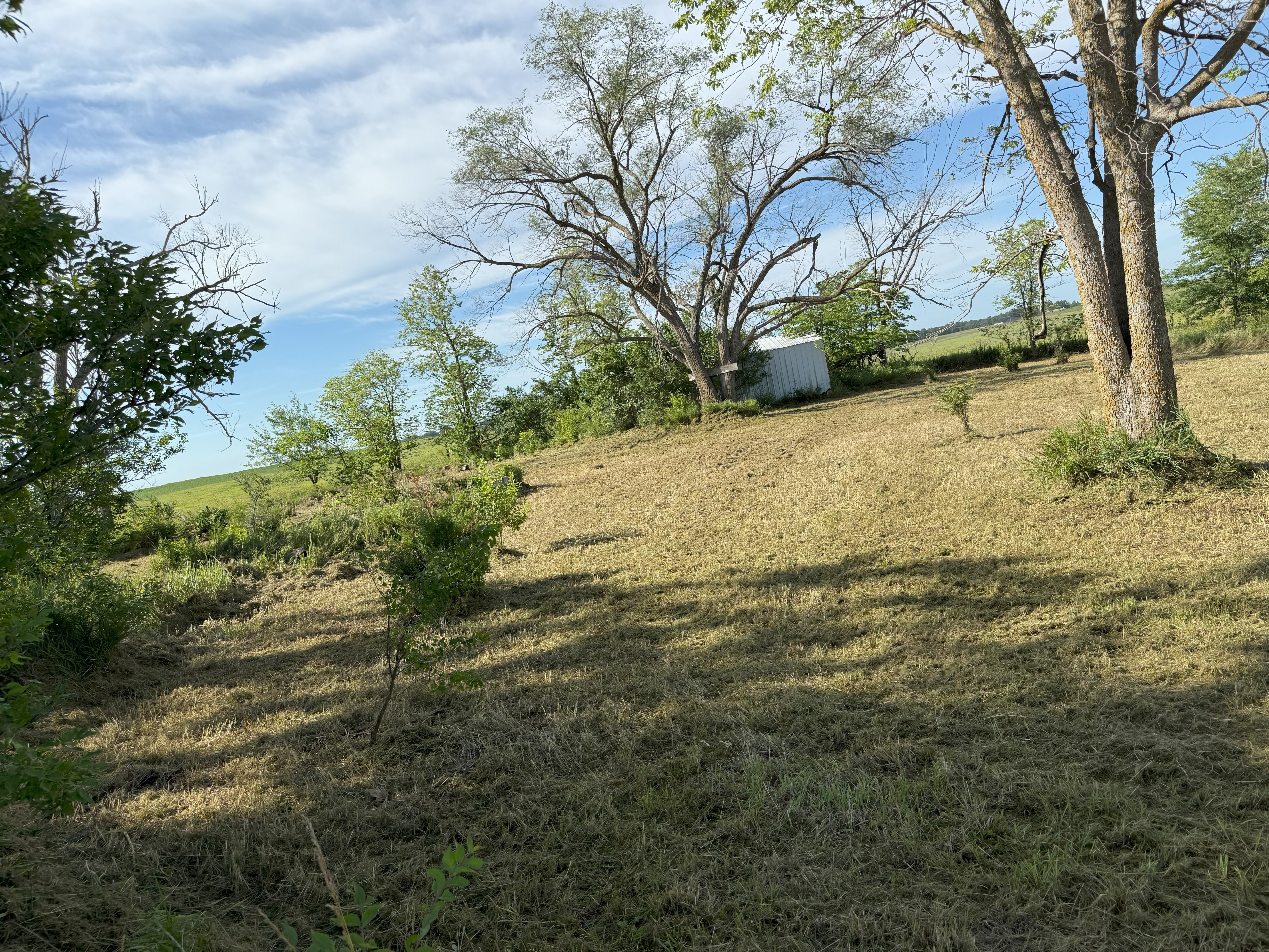 Lawn care work example